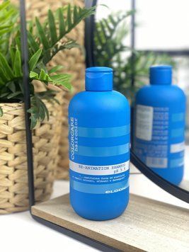 Восстанавливающий шампунь для поврежденных волос Elgon Colorcare Re-Animation Shampoo 300мл 2117711710 фото