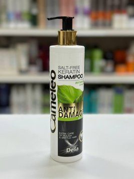 Шампунь для поврежденных волос&laquo;Anti Damage&raquo; Delia Cameleo Shampoo 250мл 2496127831 фото