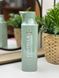 Очищающий шампунь для волос с экстрактом центеллы и ментолом Bogenia Centella Shampoo 450 мл 2551573315 фото 1