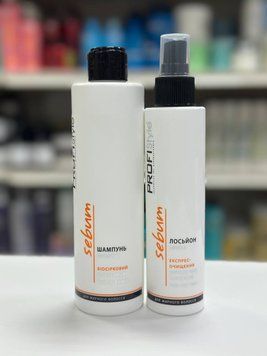 Набор для жирной кожи головы ProfiStyle Sebum 47362456356 фото