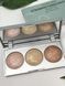 Палітра для стробингу обличчя Golden Rose Strobing Highlighter 1230288631 фото 2
