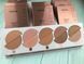 Румяна для лица TopFace Instyle Twin Blush On 1049537733 фото 5